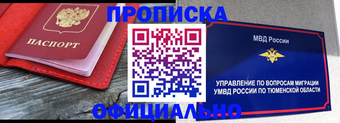 прописка законно в Щёлково